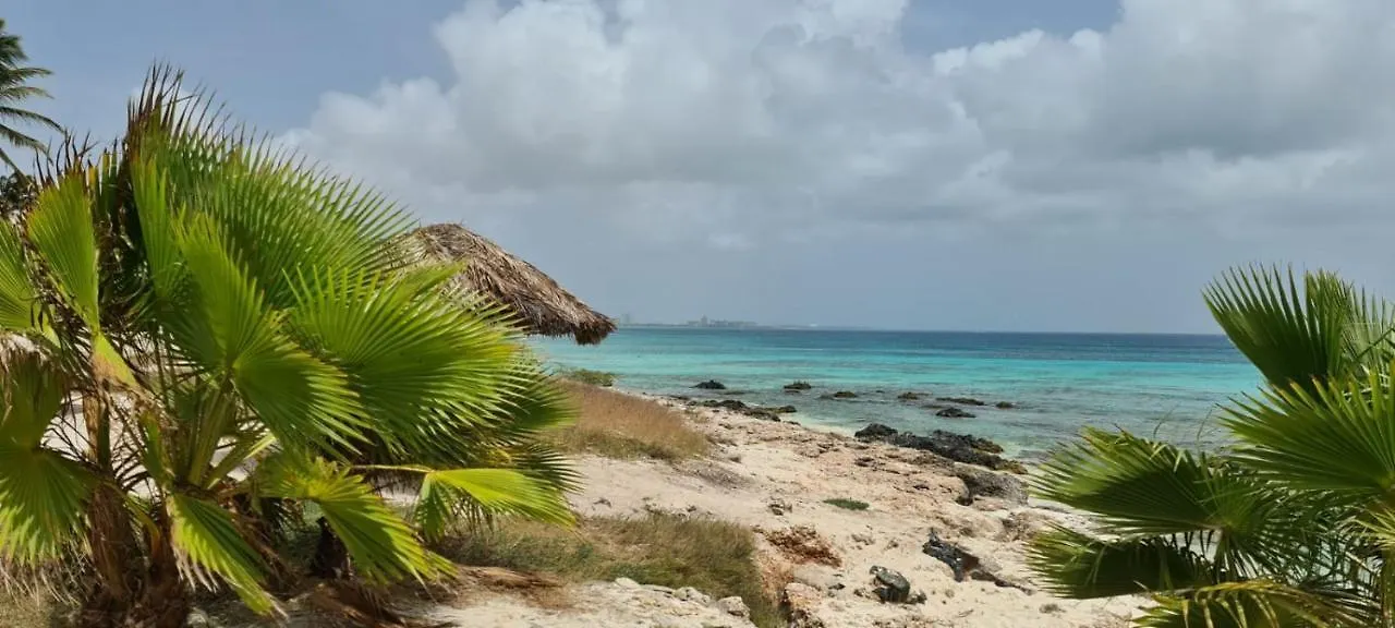 Aruba Harmony Hostel Oranjestad Aruba