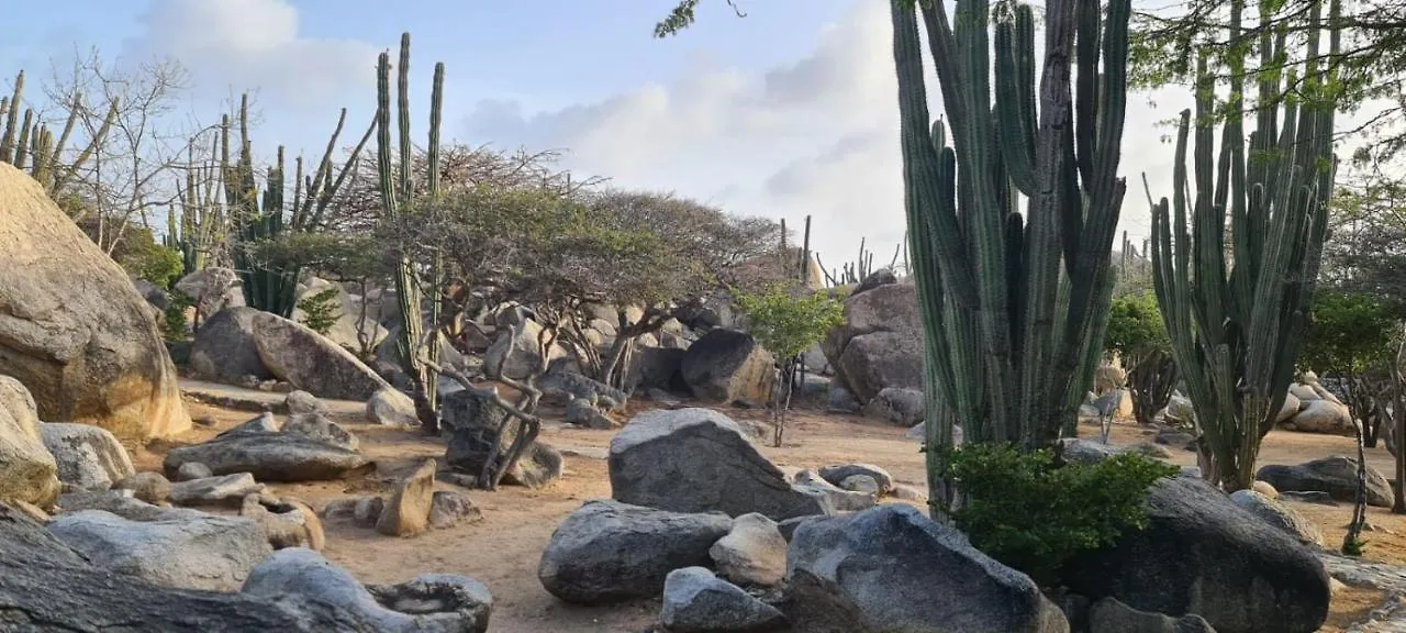 Aruba Harmony Hostel Oranjestad 0*,