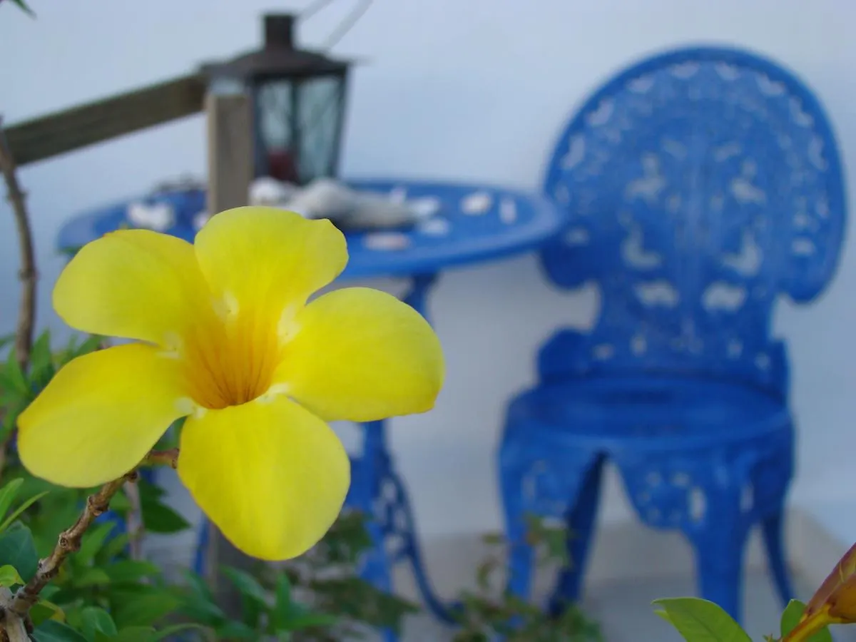 Aruba Harmony Hostel Oranjestad